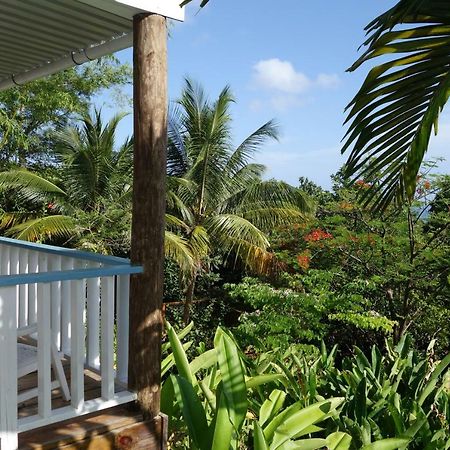 Hotel Mockingbird Hill Port Antonio Dış mekan fotoğraf