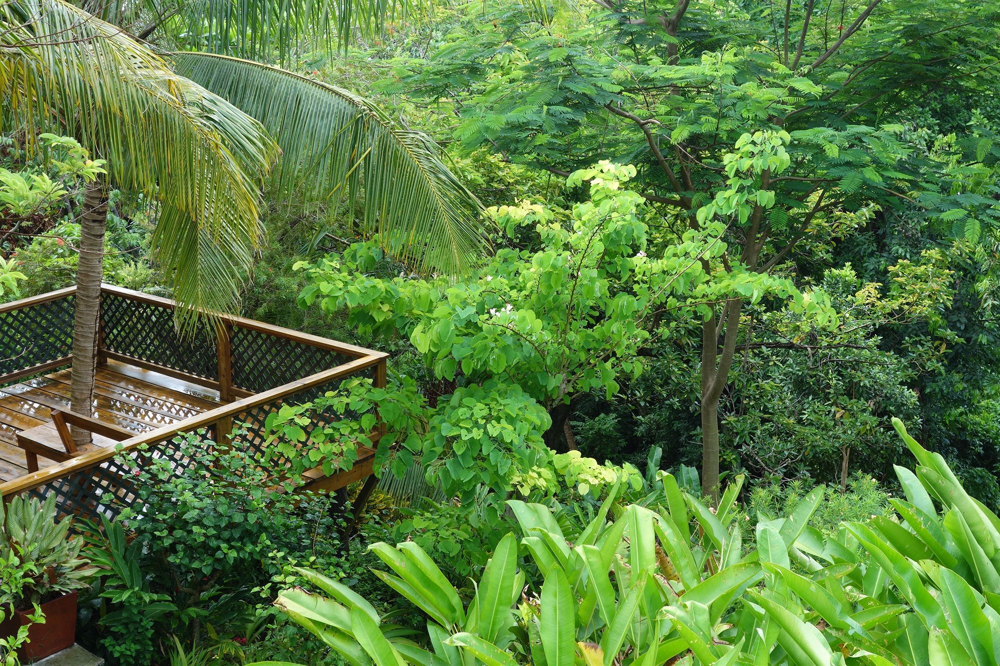 Hotel Mockingbird Hill Port Antonio Dış mekan fotoğraf